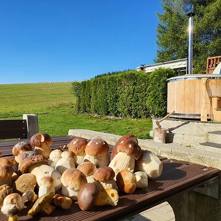 Chalet Adla-sauna Klínovec * Kovářská