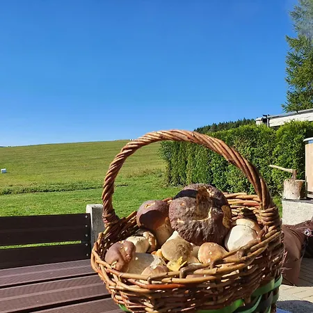 Chalet Adla-sauna Klínovec * Kovářská