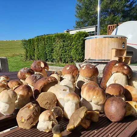Chalet Chalet Adla-sauna Klínovec